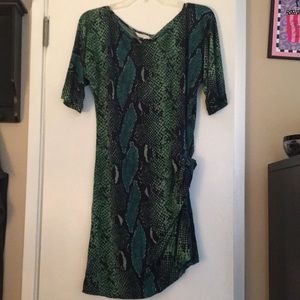 Diane von Furstenberg 100% Snake Print Silk Dress